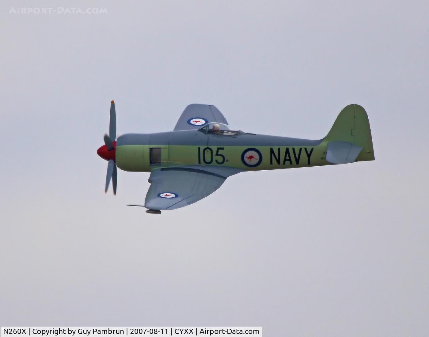 N260X, 1951 Hawker Sea Fury FB11 C/N 41H/636334, Gentle show... I can't blame him for not taking any chances