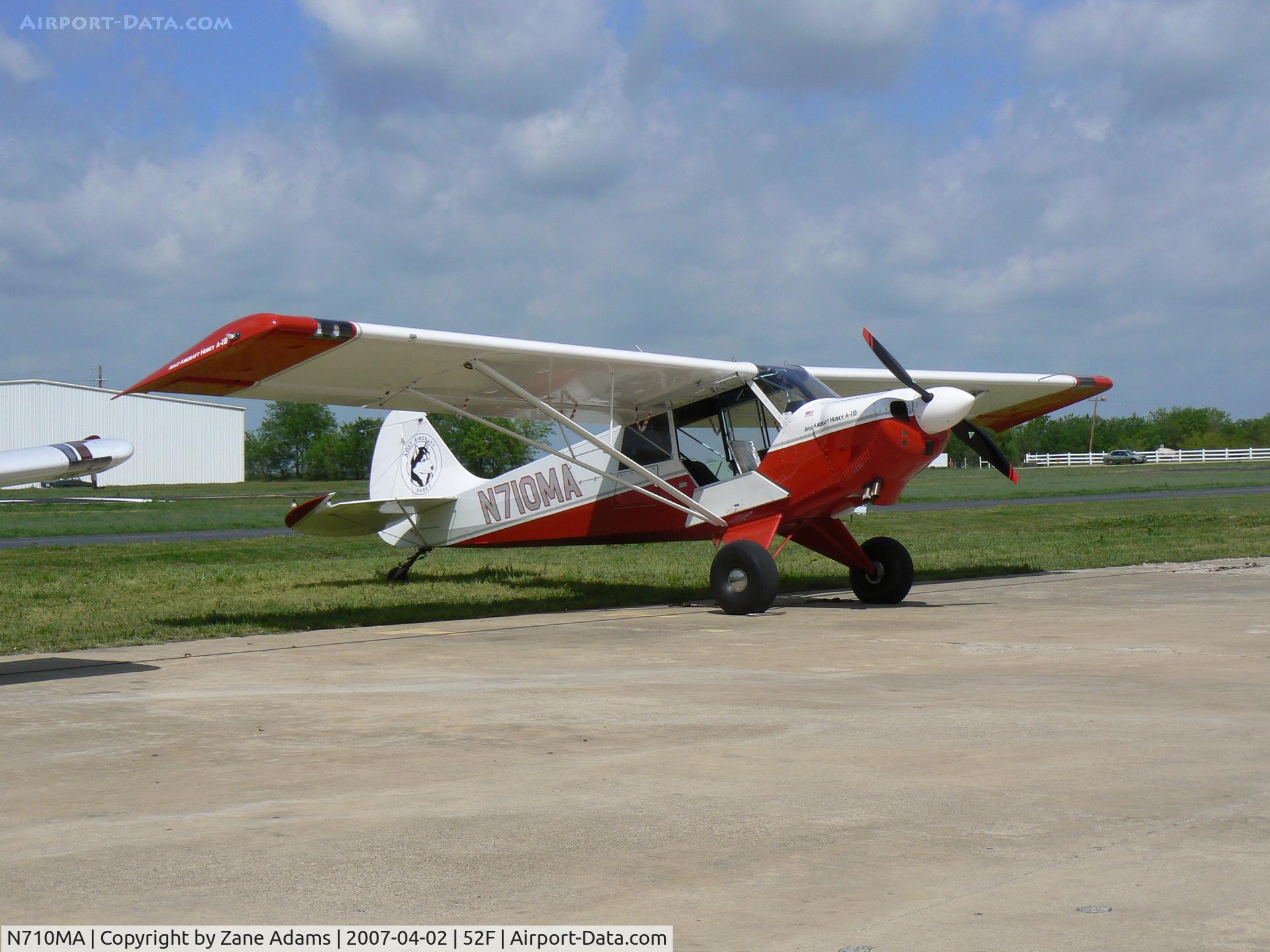 N710MA, 2006 Aviat A-1B Husky C/N 2338, Husky Tail Logo