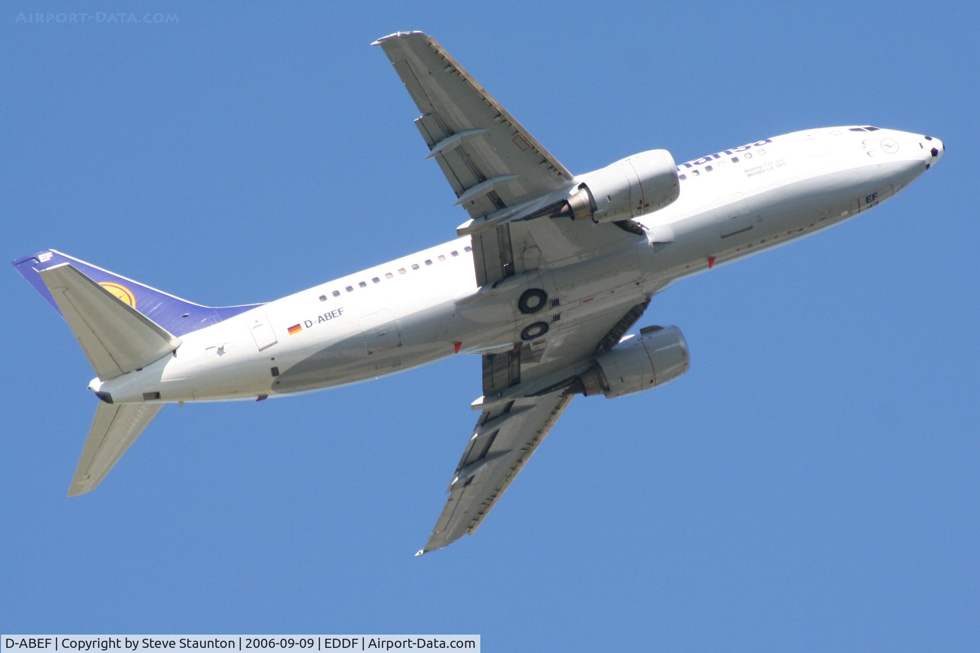 D-ABEF, 1991 Boeing 737-330 C/N 25217, Taken at Frankfurt September 2006