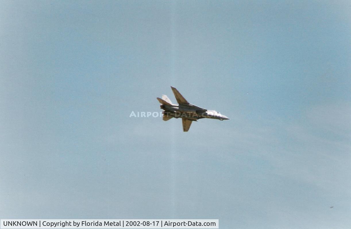 UNKNOWN, , F-14 Over Chicago Air and Water Show
