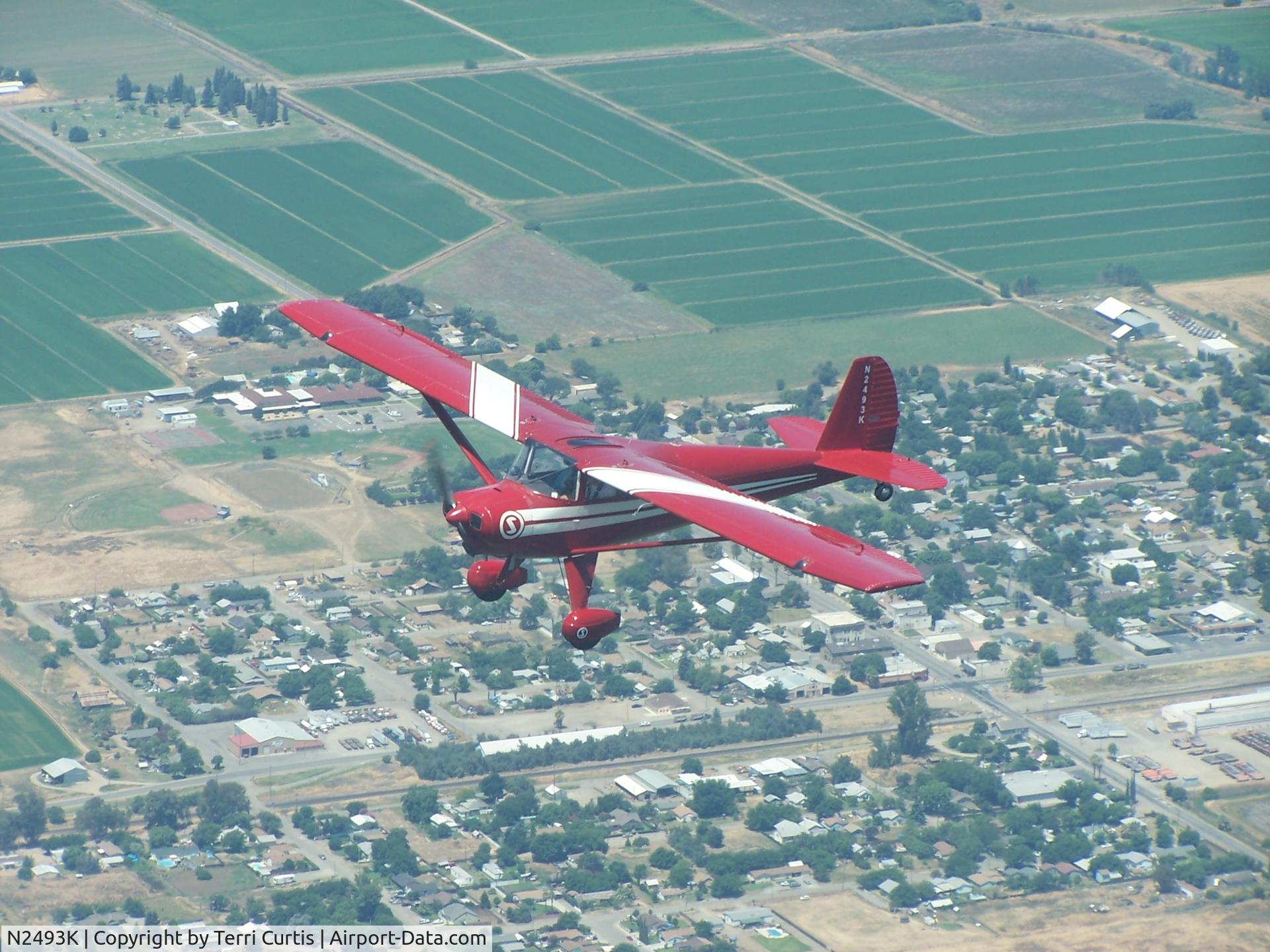 N2493K, 1947 Luscombe 8E Silvaire C/N 5220, Out to Lunch