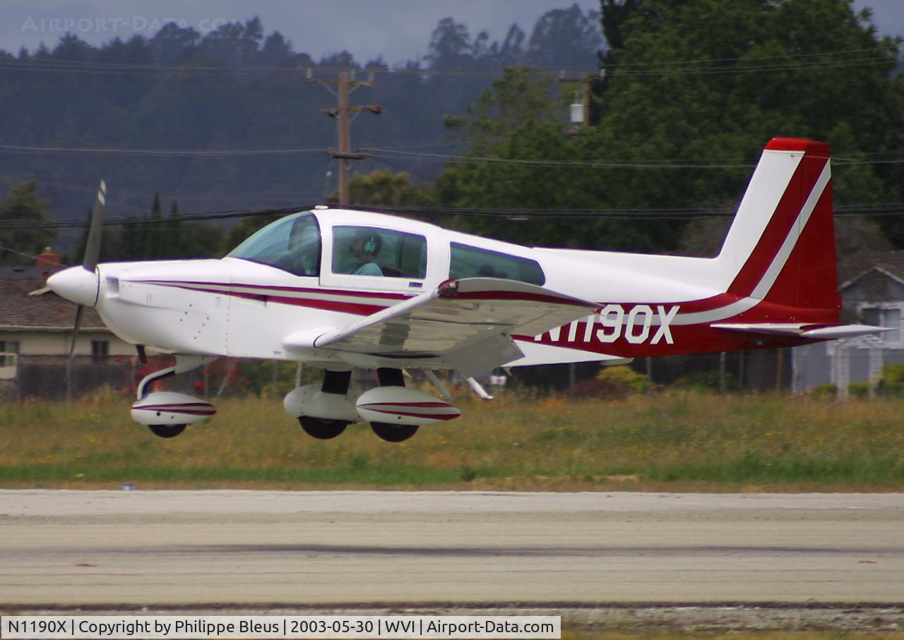 N1190X, 1991 American General AG-5B Tiger C/N 10010, About to land on rwy 20.