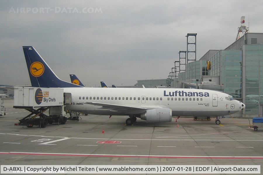 D-ABXL, 1986 Boeing 737-330 C/N 23531, Lufthansa morning flight