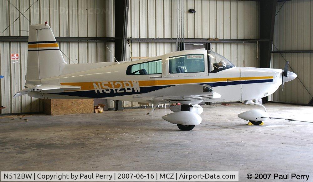 N512BW, 1974 Grumman American AA-5 Traveler C/N AA5-0702, Profile of a nice looking Grumman cat