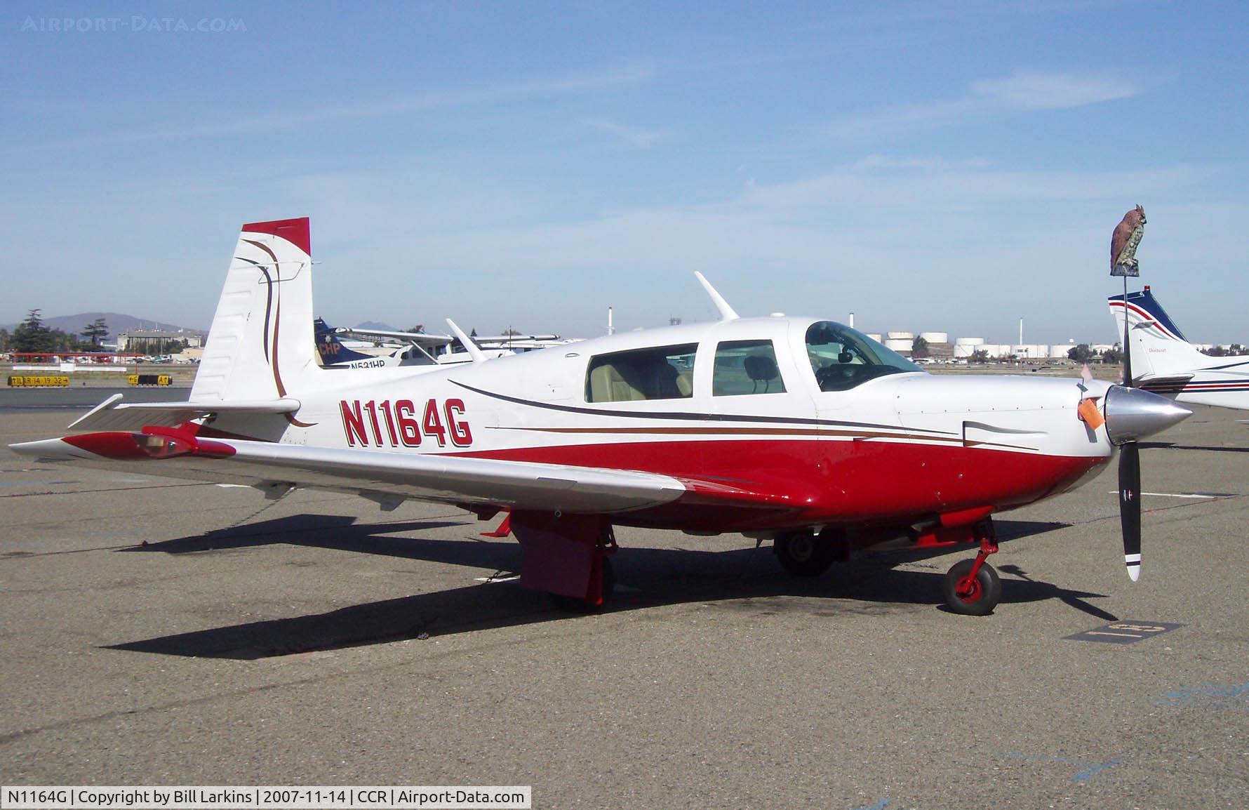 N1164G, 1982 Mooney M20K C/N 25-0677, Guarded by an Owl
