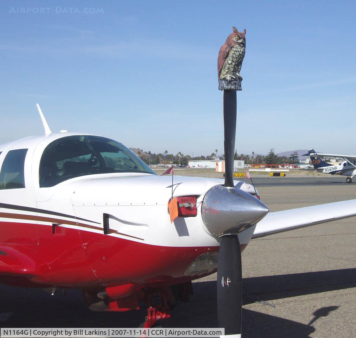 N1164G, 1982 Mooney M20K C/N 25-0677, Closeup of the Owl
