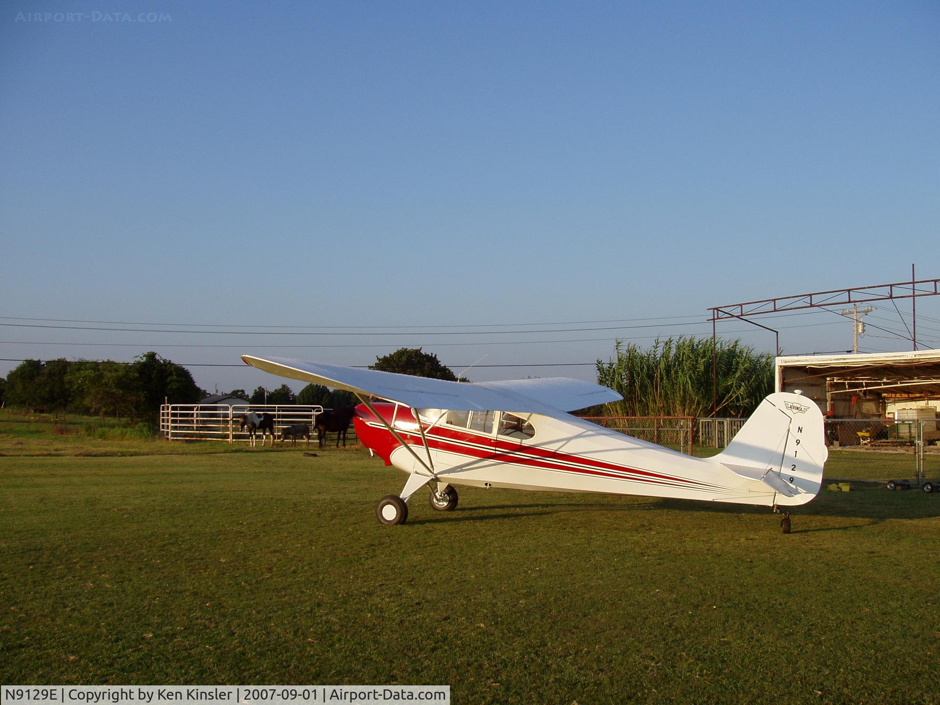 N9129E, 1946 Aeronca 11AC Chief C/N 11AC-762, Flying again Sep 1 2007