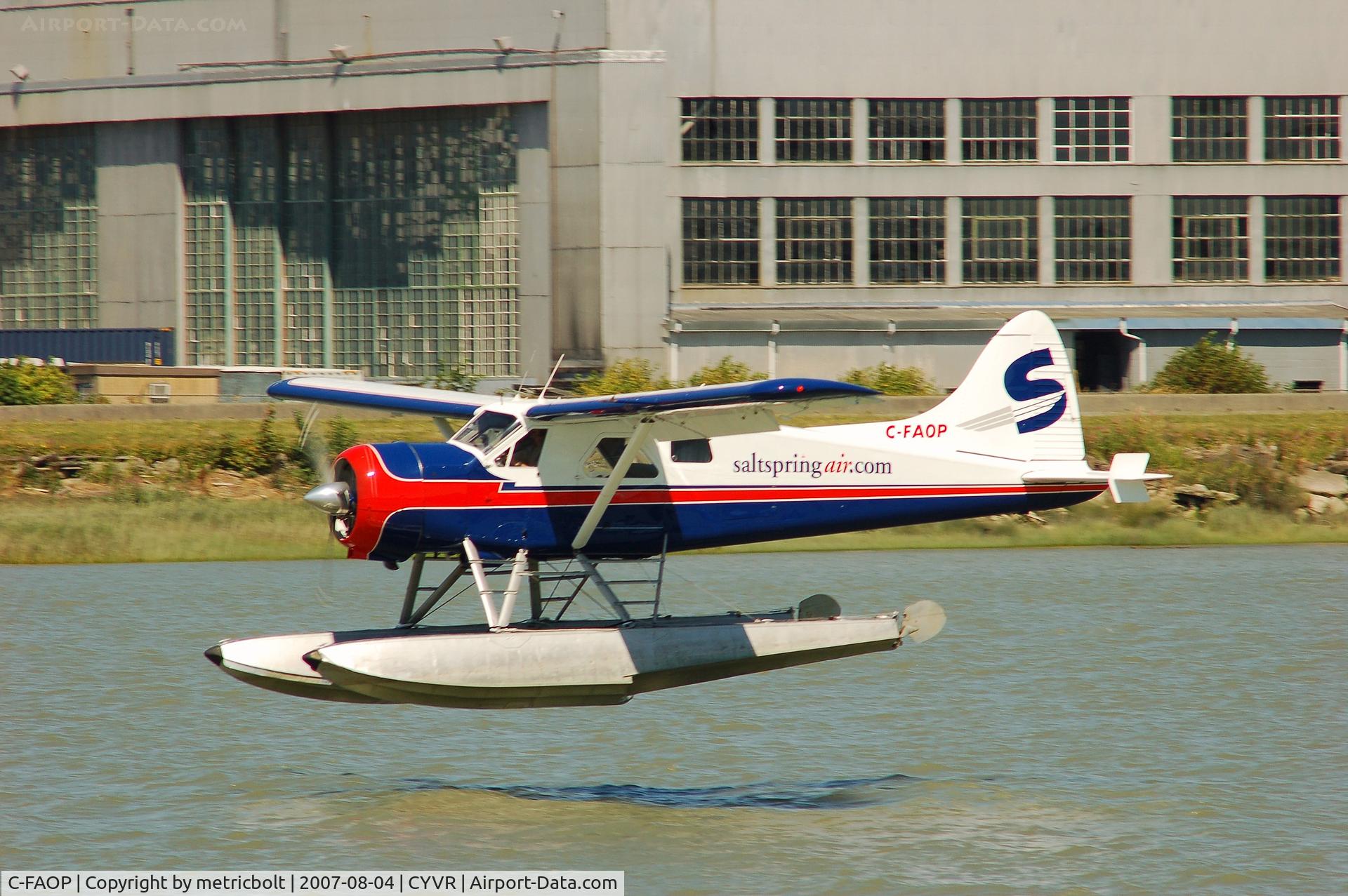 C-FAOP, 1958 De Havilland Canada DHC-2 Beaver Mk.1 C/N 1249, landing at the YVR seaplane facility,Fraser River