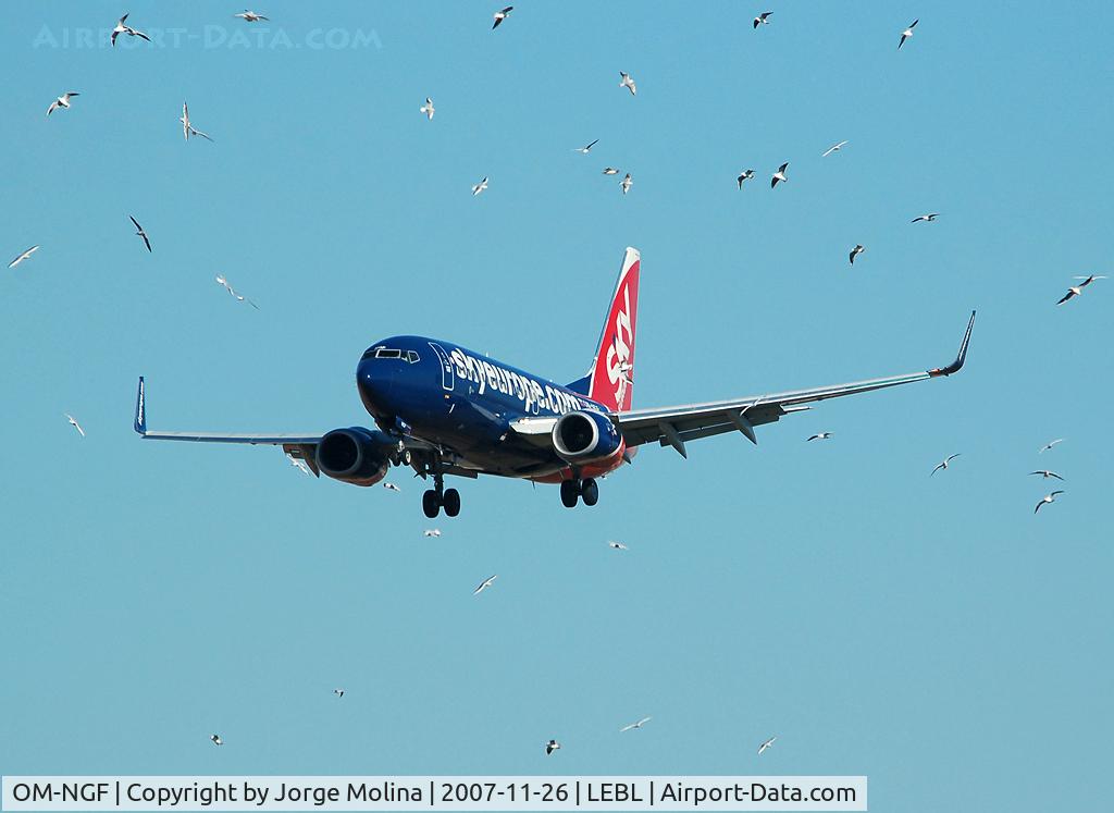 OM-NGF, 2006 Boeing 737-76N C/N 32680, Dangerous birds...!!!