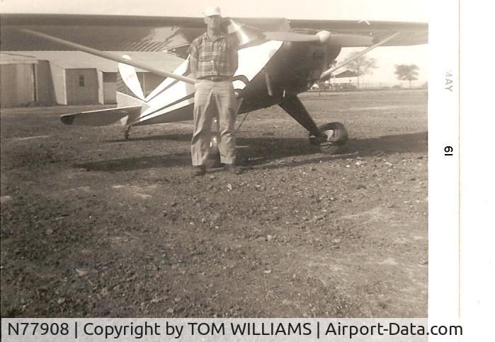 N77908, 1946 Luscombe 8A C/N 3635, LUCK FIELD, FORT WORTH, TEXAS, MAY 1961