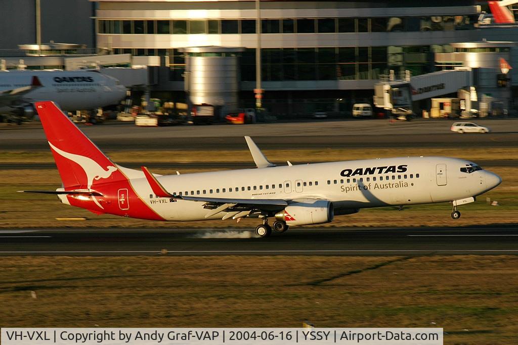 VH-VXL, 2002 Boeing 737-838 C/N 33482, Qantas 737-800
