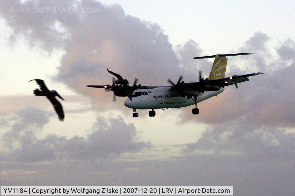 YV1184, 1980 De Havilland Canada DHC-7-102 Dash 7 C/N 30, visitor