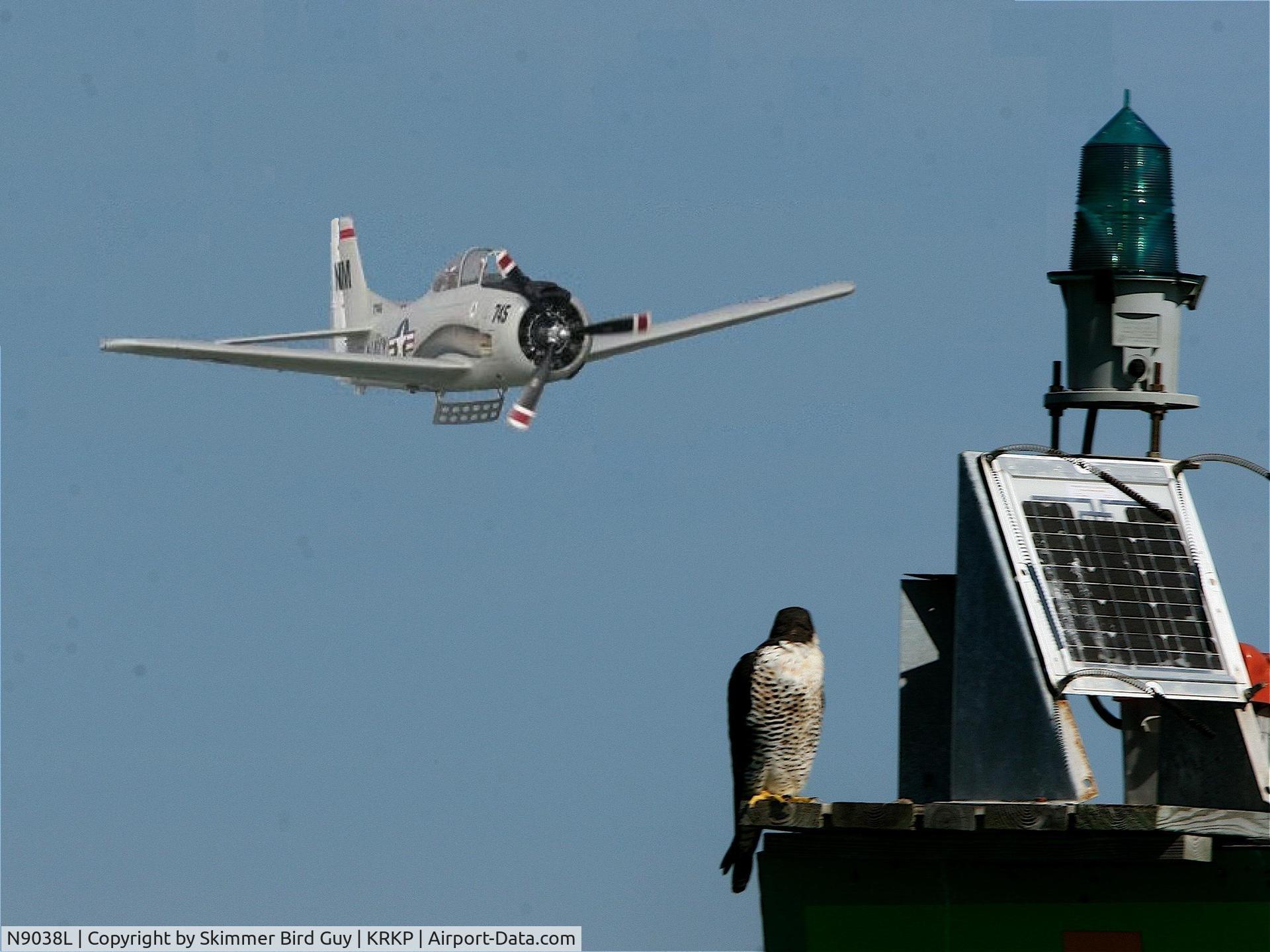 N9038L, 1954 North American T-28B Trojan C/N 200-108 (137745), Falcon and trojan