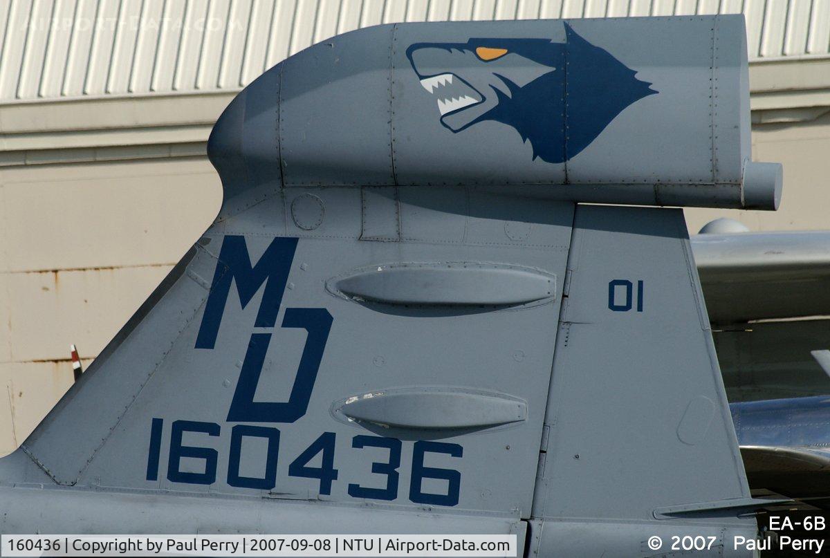 160436, Grumman EA-6B Prowler C/N P-64, Love their insignia, not to mention tailcode.  Suppose one day it'll be on an EF-18G