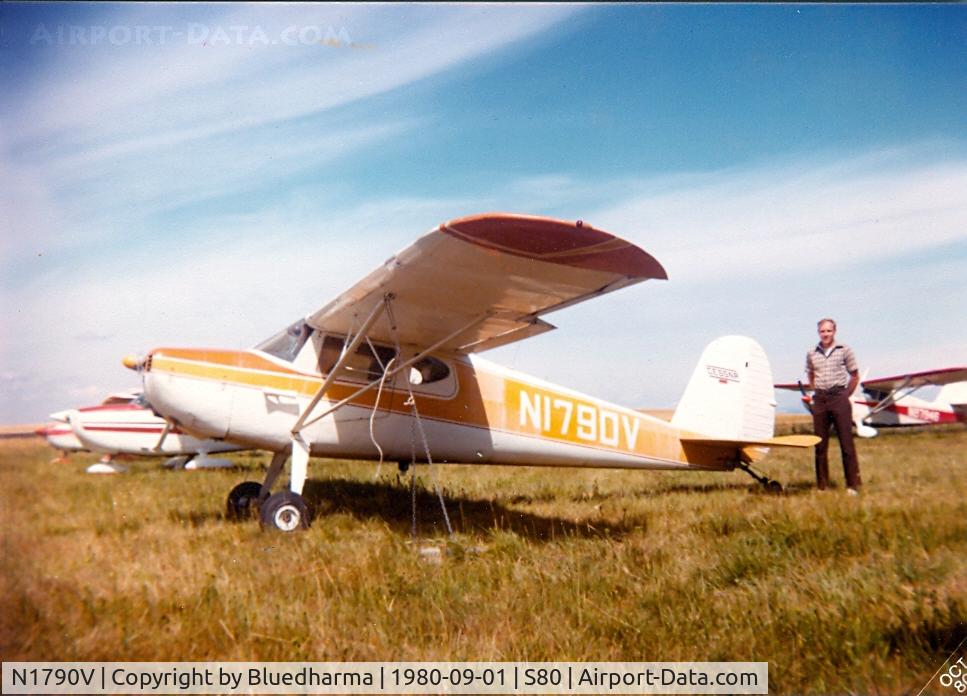 N1790V, 1947 Cessna 140 C/N 14023, Parked with my dad in the background.