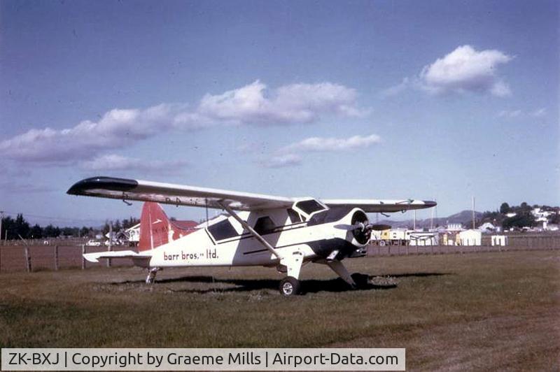 ZK-BXJ, 1957 De Havilland Canada DHC-2 Beaver C/N 1054, At Waipukarau 1970