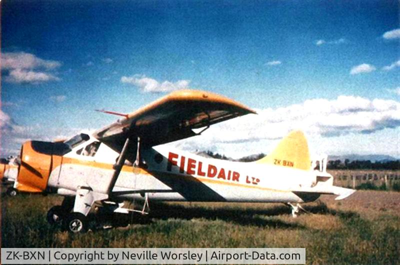 ZK-BXN, 1965 De Havilland Canada DHC-2 Beaver C/N 1597, At Dannevirke 1969