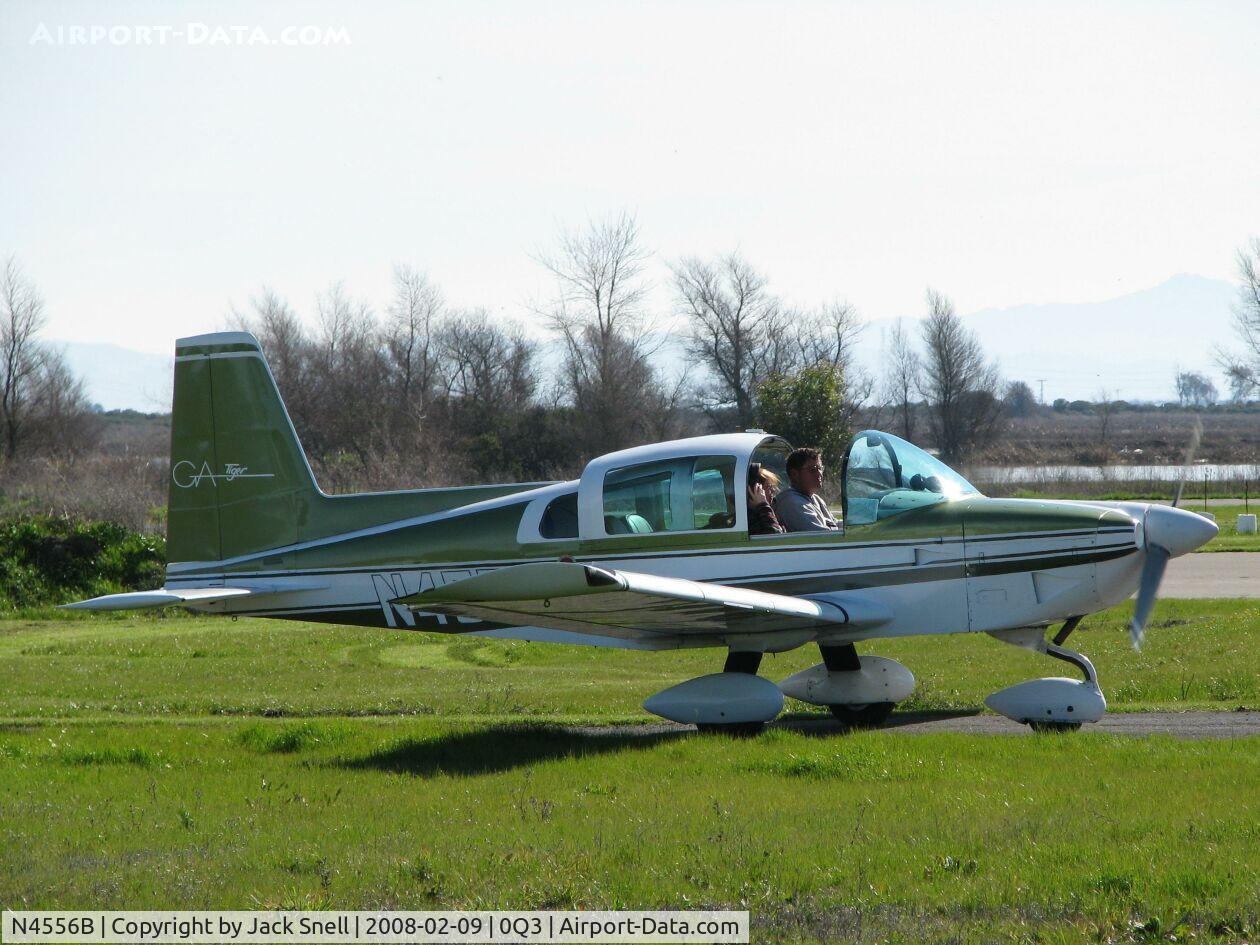 N4556B, 1979 Grumman American AA-5B Tiger C/N AA5B1222, Taken at the Schellville Antique Aerodrome Display Weekend