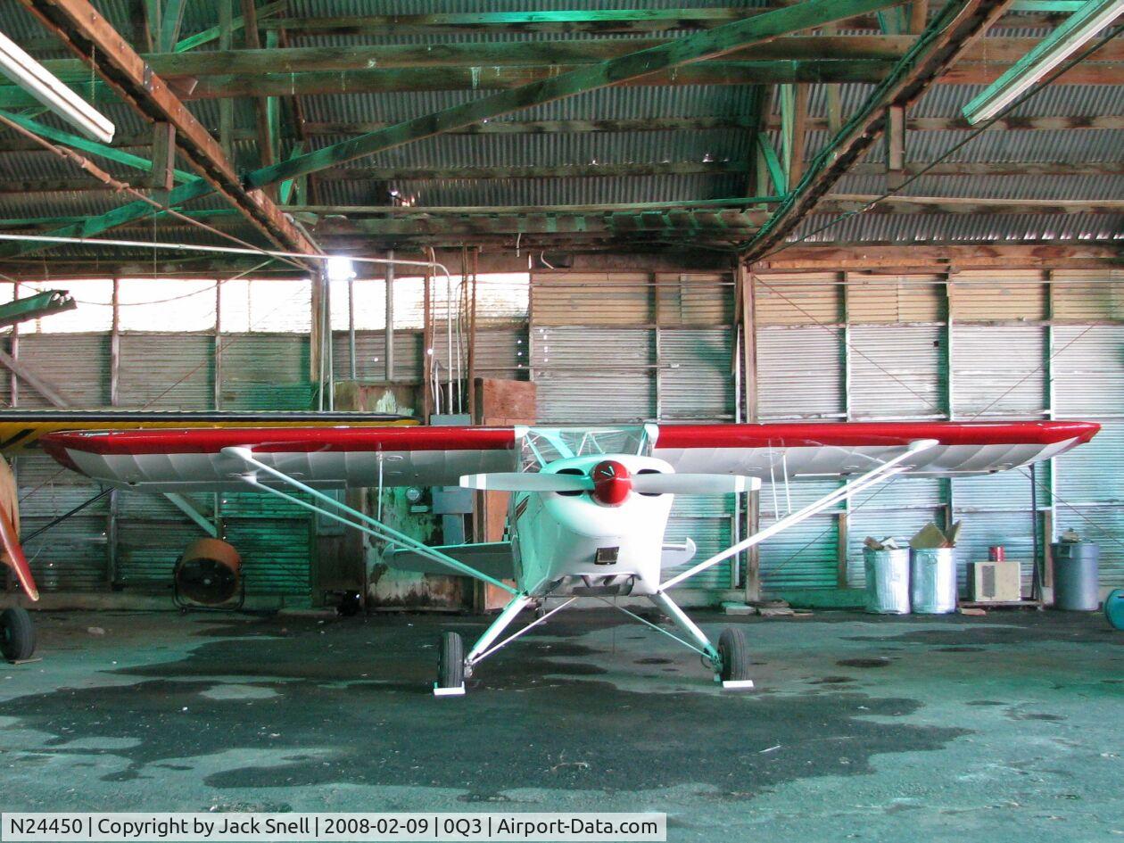 N24450, 2004 Cicero J/kelley T SPECIAL-T C/N 001, Taken at the Schellville Antique Aerodrome Display Weekend