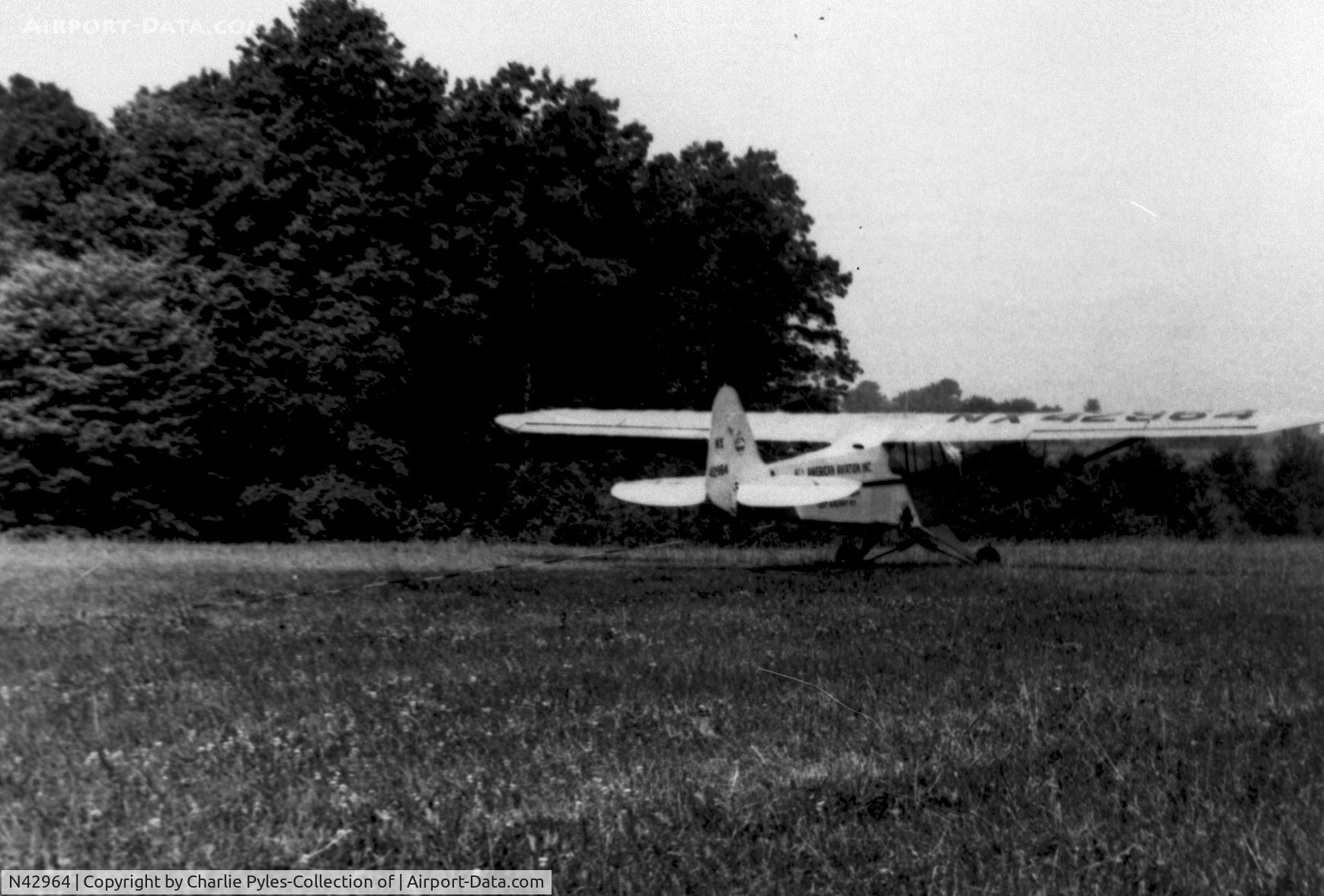 N42964, 1946 Piper J3C-65 Cub C/N 15323, NX42964 used in All American Aviation Pick-up Experiment