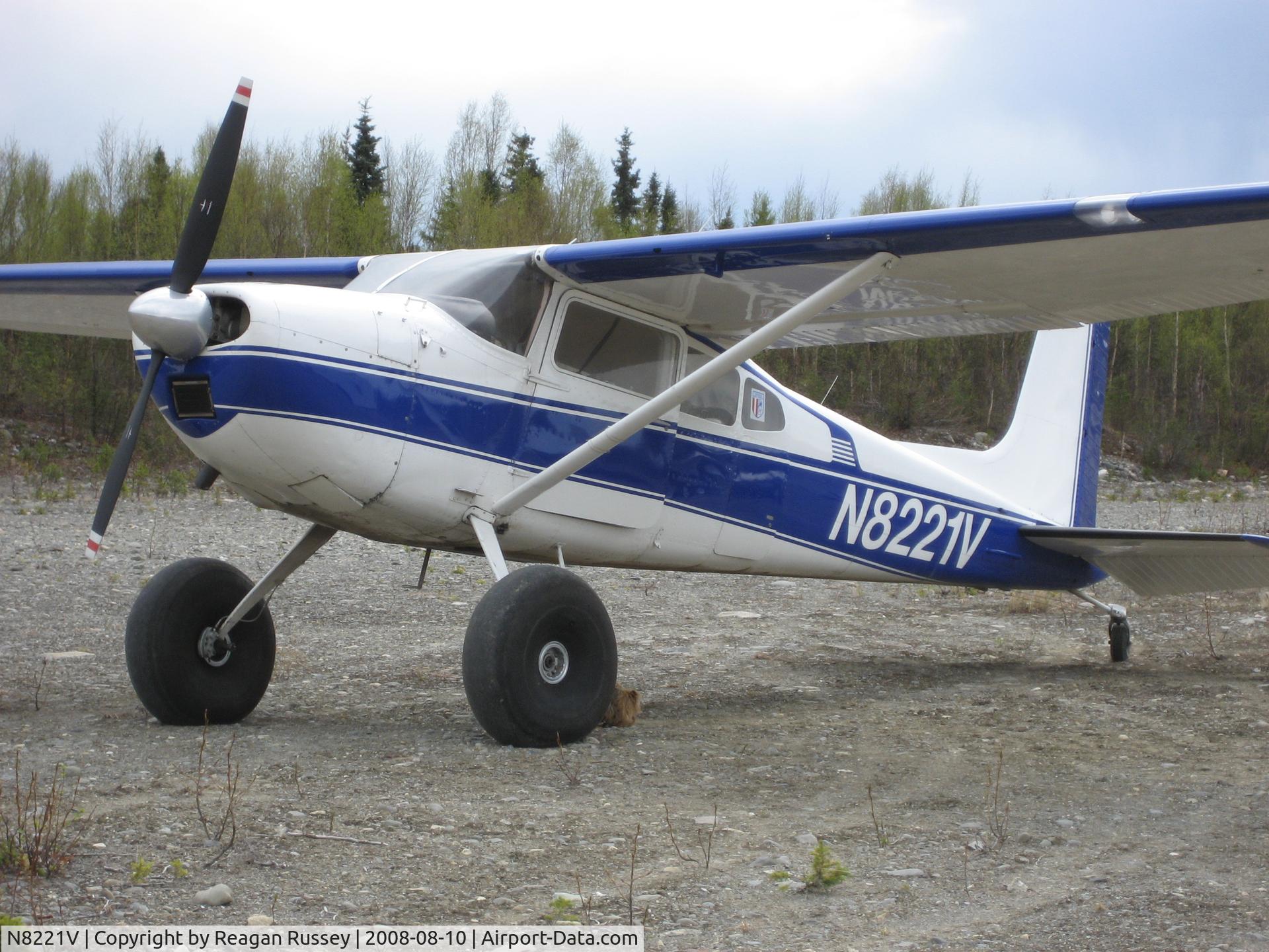 N8221V, 1966 Cessna 180H Skywagon C/N 18051723, Cessna 180H on 30 inch Bush Wheels