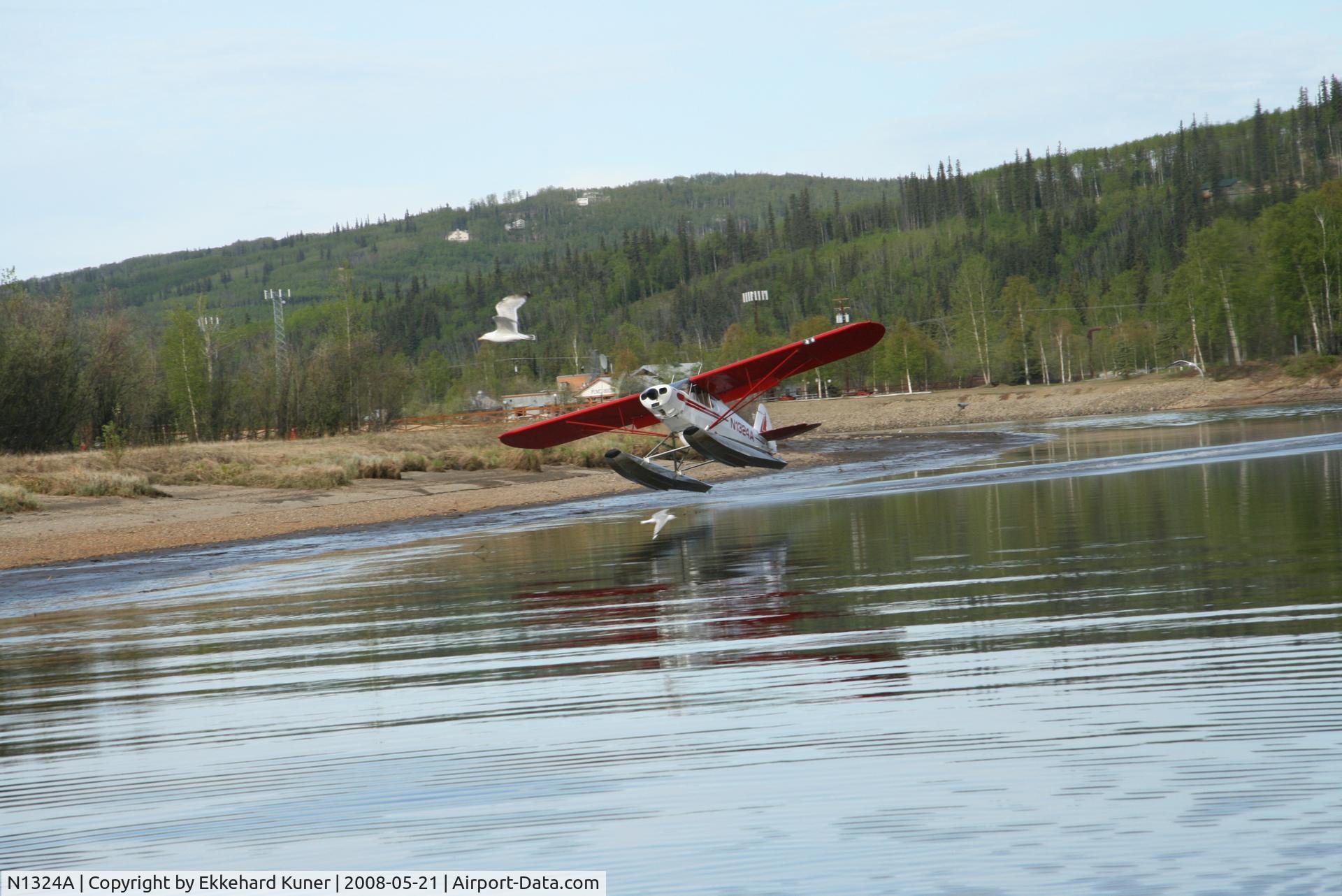 N1324A, 1951 Piper PA-18-125 Super Cub C/N 18-1134, taking off Chena River Fairbanks AK
