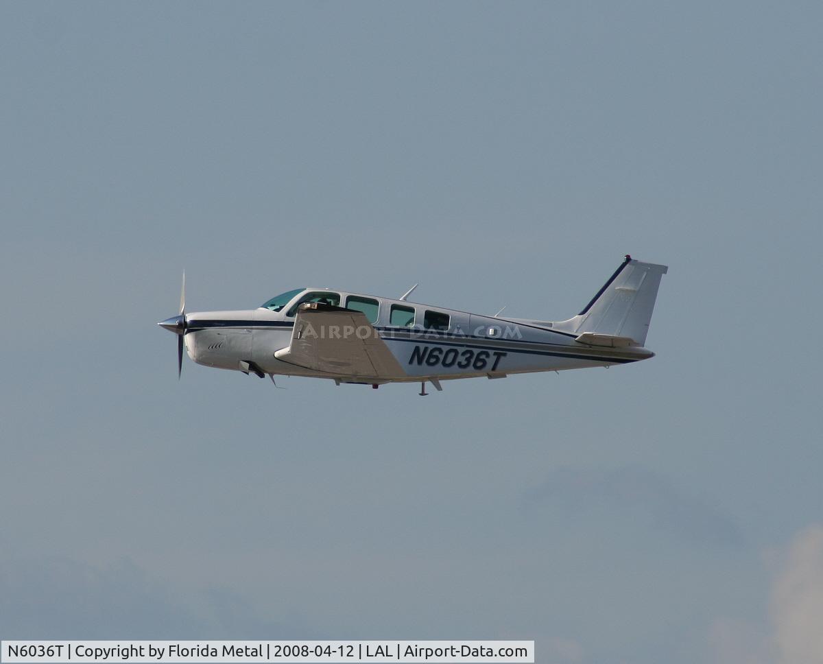 N6036T, 1981 Beech A36 Bonanza 36 C/N E-1847, A36