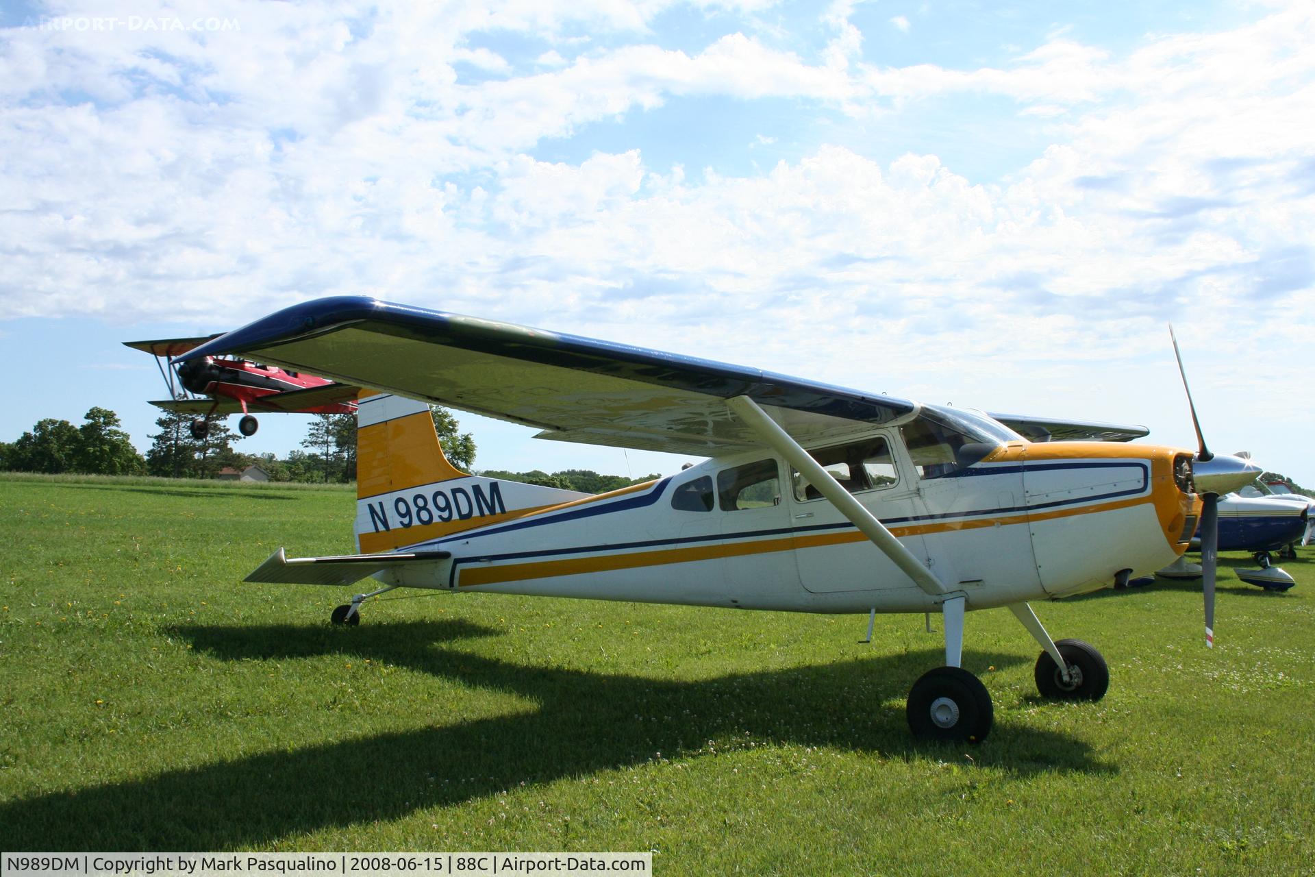 N989DM, Cessna A185F Skywagon 185 C/N 18502721, Cessna 185