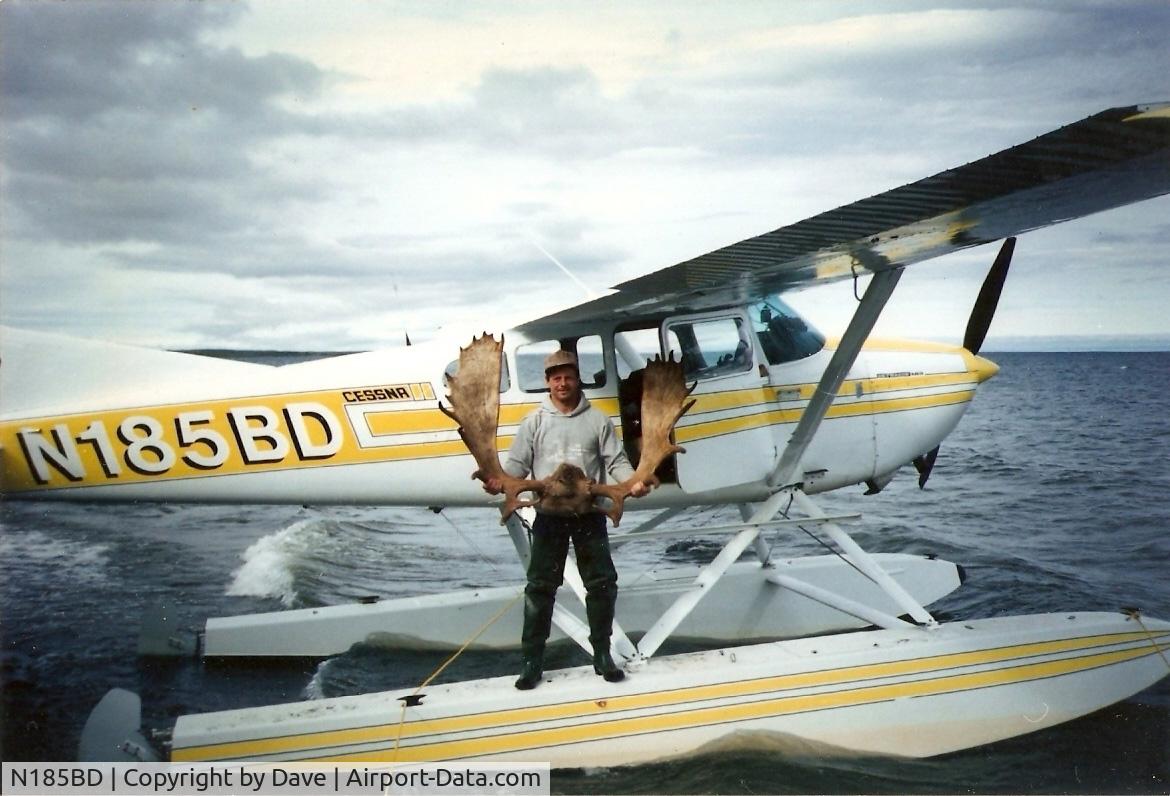 N185BD, Cessna A185E Skywagon 185 C/N 185-1071, Moose Hunt in Alaska