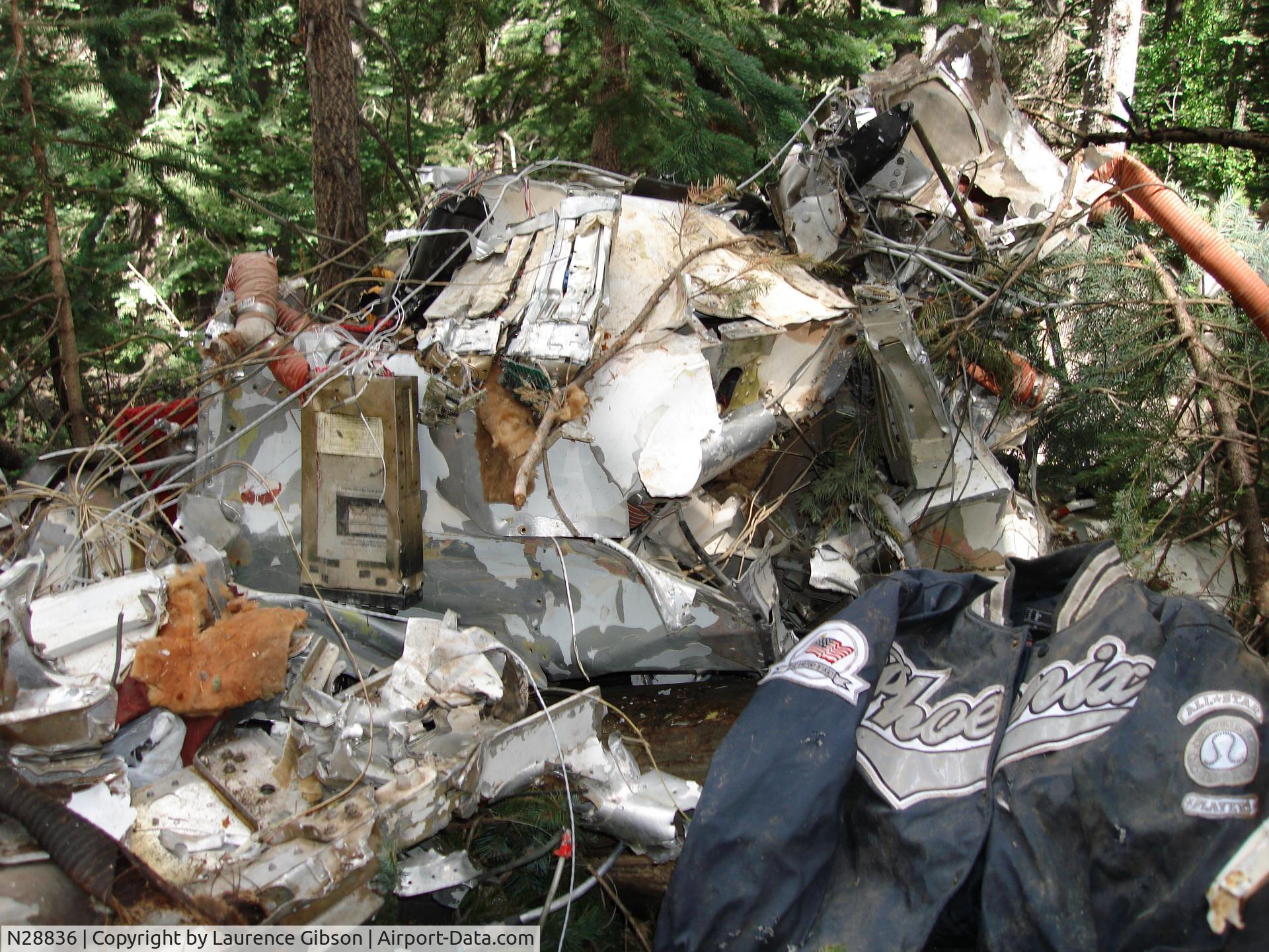 N28836, 1956 Cessna 310 C/N 35310, Nose area