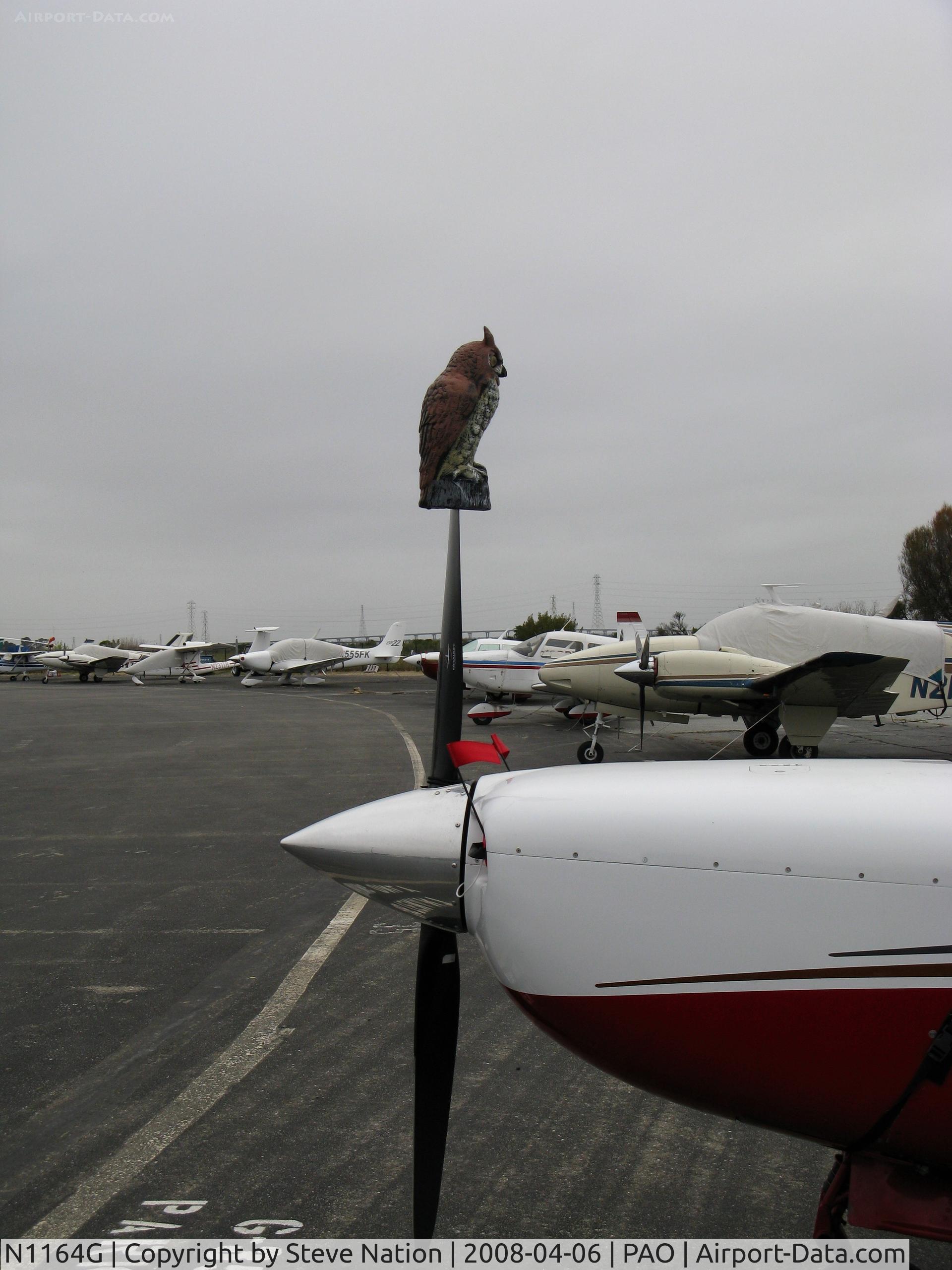 N1164G, 1982 Mooney M20K C/N 25-0677, CLOSE-UP OF THE OWL