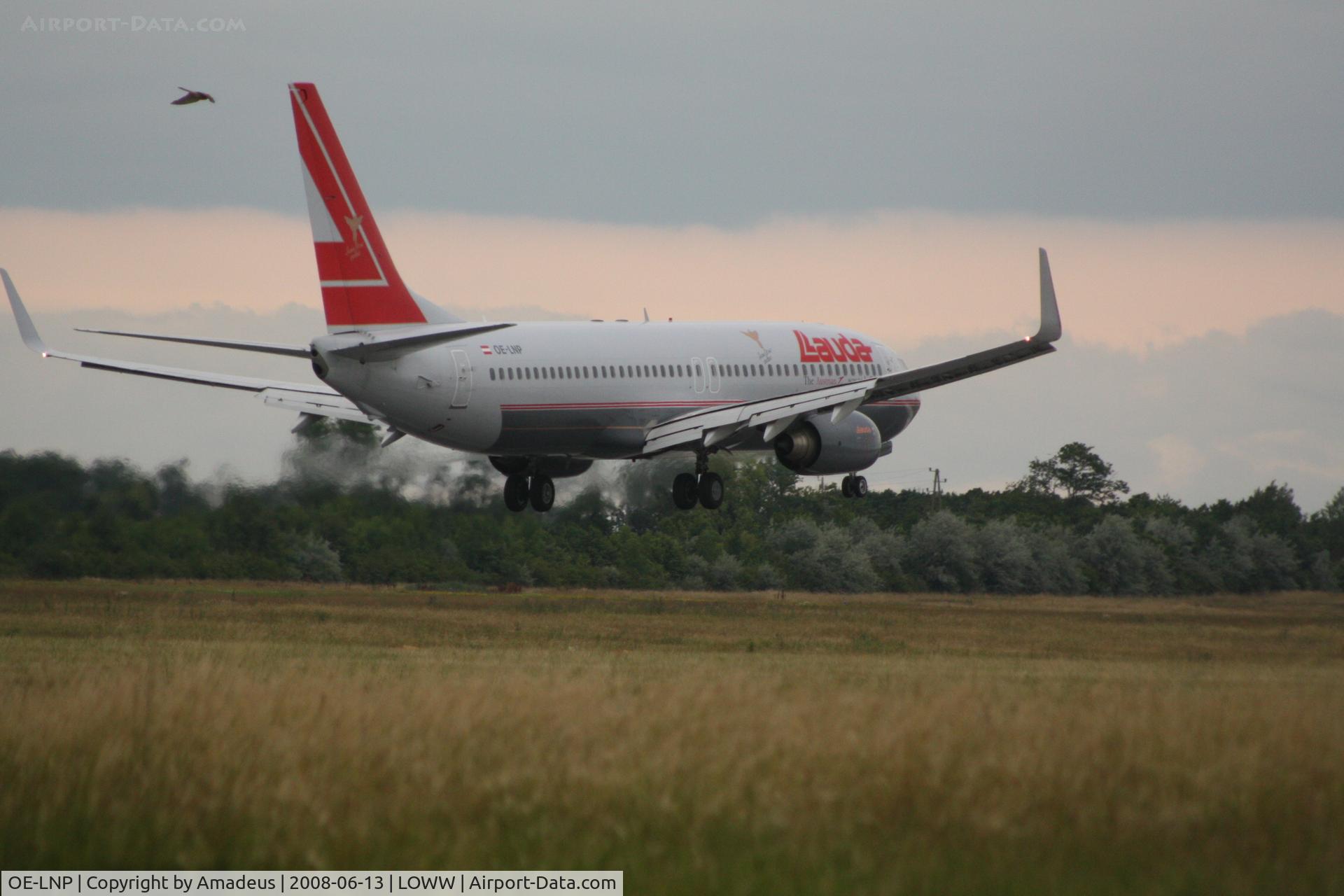 OE-LNP, 2002 Boeing 737-8Z9 C/N 30420, Boeing 737 landing RWY34