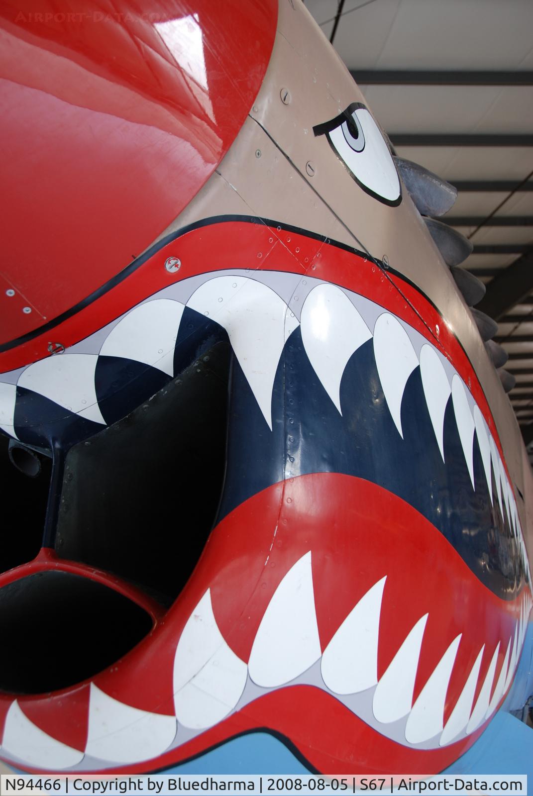 N94466, 1942 Curtiss P-40E C/N AK-899, Flying Tiger Front view. On display at the Warhawk Air Museum.