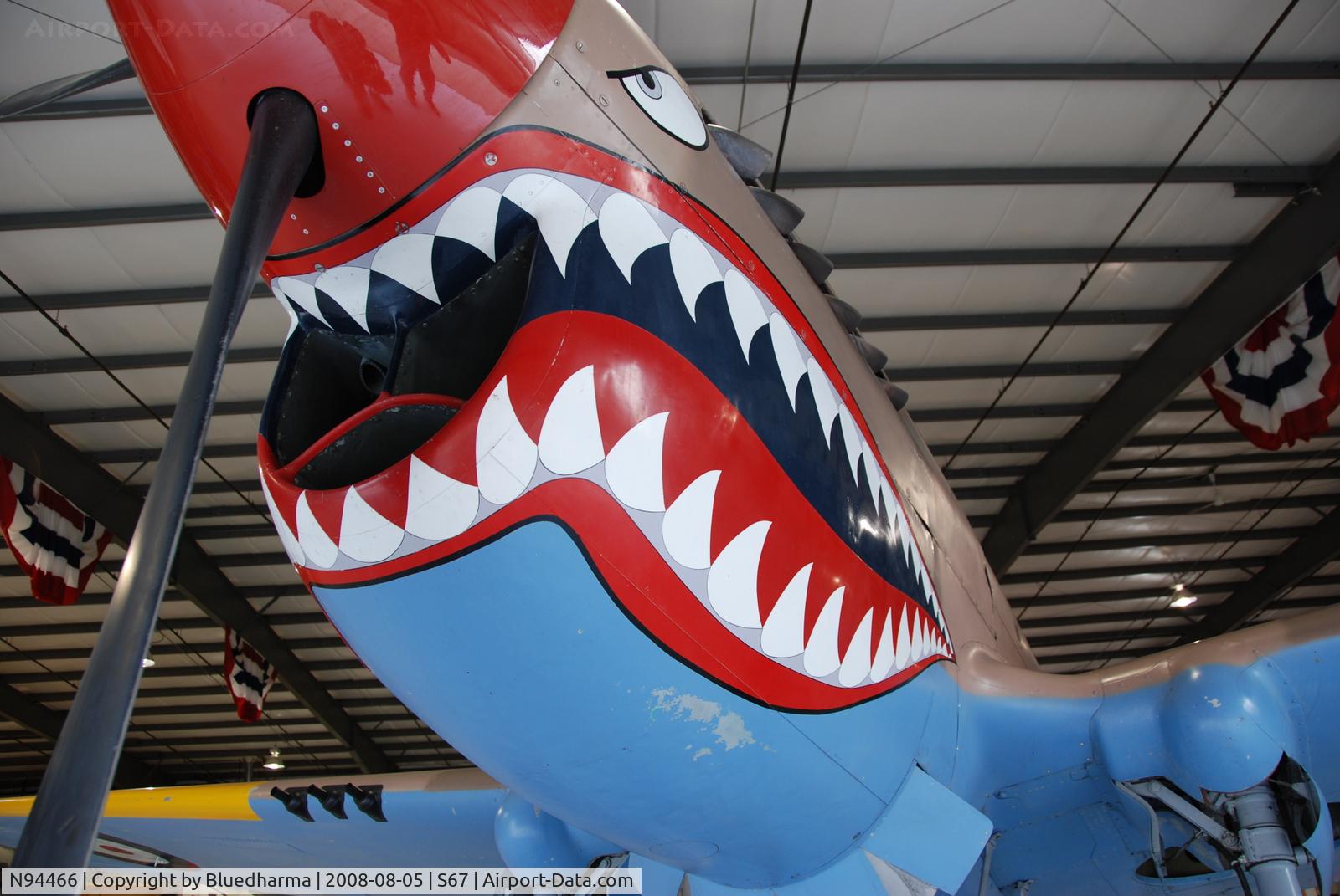 N94466, 1942 Curtiss P-40E C/N AK-899, Flying Tiger Front view. On display at the Warhawk Air Museum.
