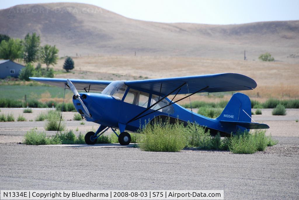 N1334E, 1946 Aeronca 7AC Champion C/N 7AC-4895, Parked
