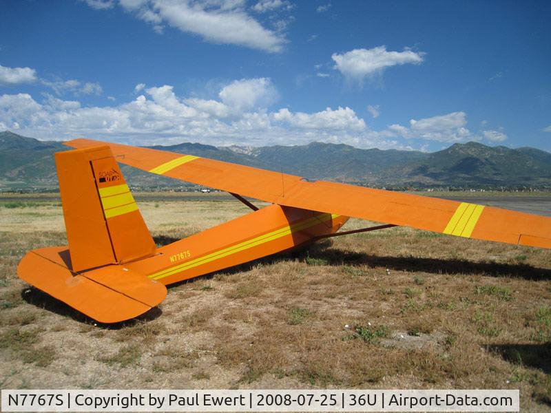 N7767S, 1969 Schweizer SGS 2-33A C/N 137, Tail shot showing serial number and owner with runway in background at home airport.