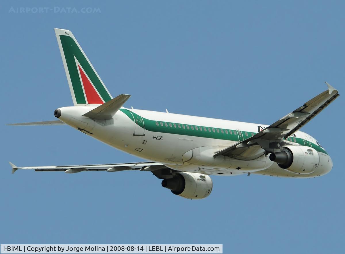 I-BIML, 2004 Airbus A319-112 C/N 2127, 