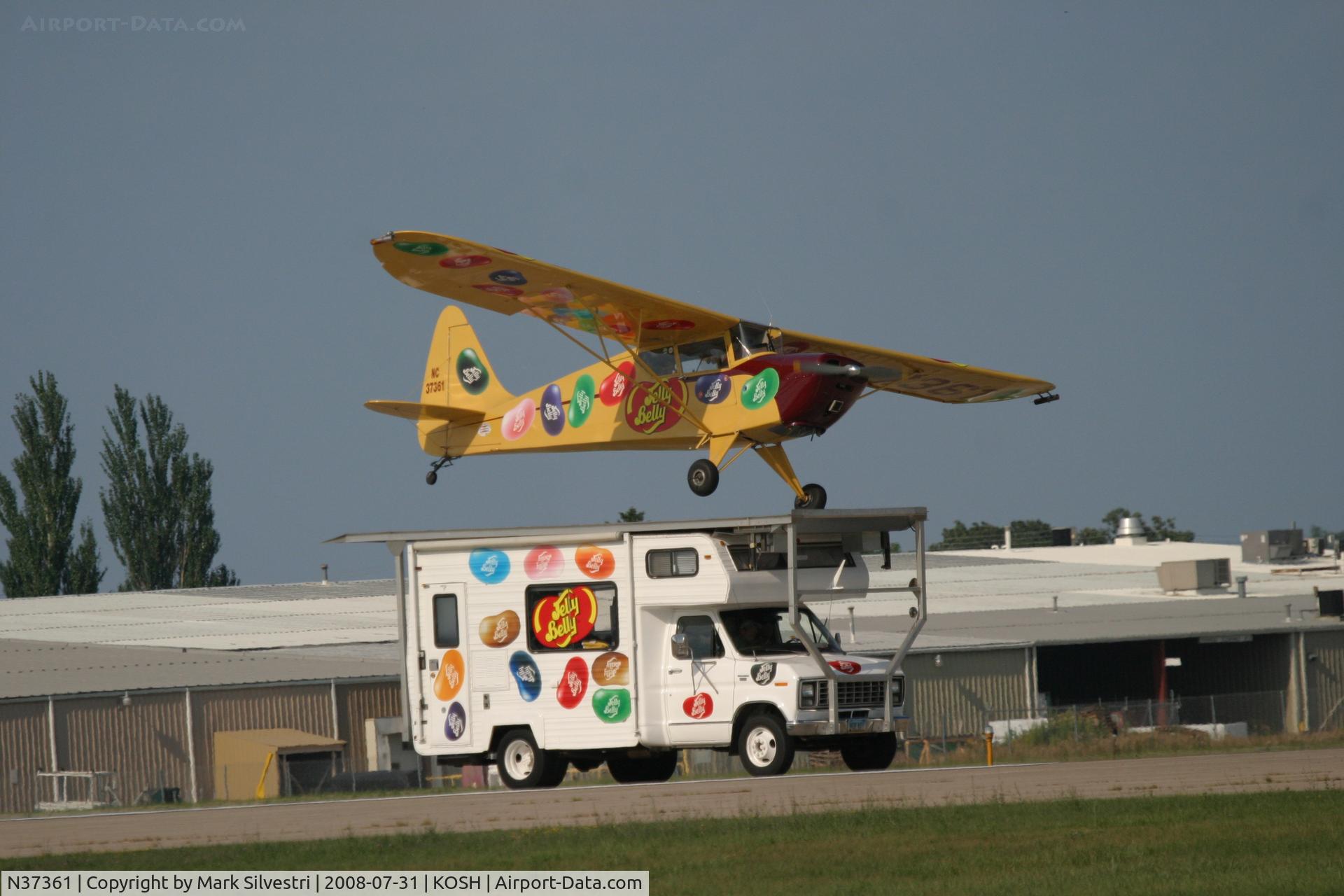 N37361, 1941 Interstate S-1A-65F Cadet C/N 204, Oshkosh 2008