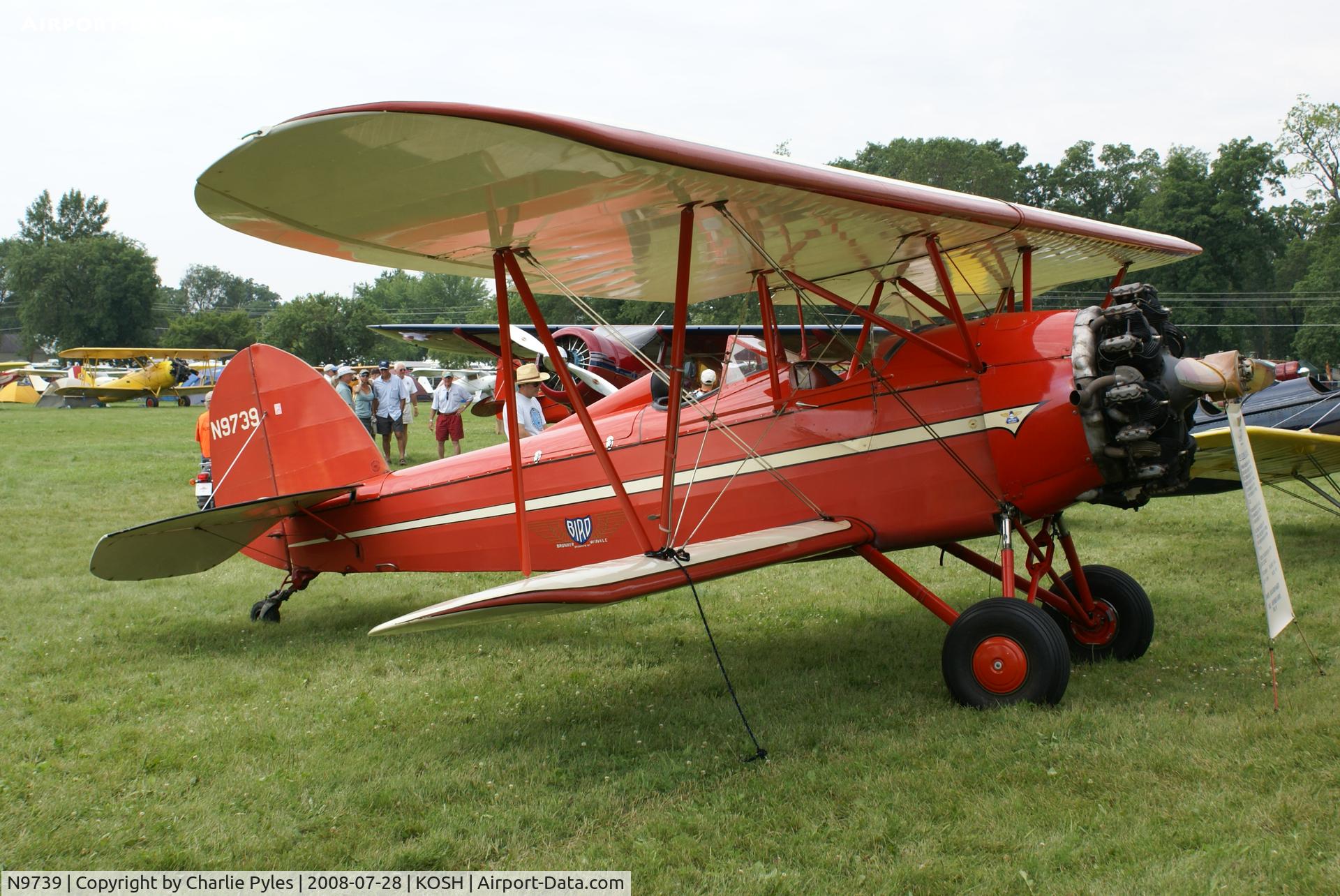 N9739, 1929 Brunner-Winkle Bird BK C/N 1002, The Only Bird I saw at Airventure 2008