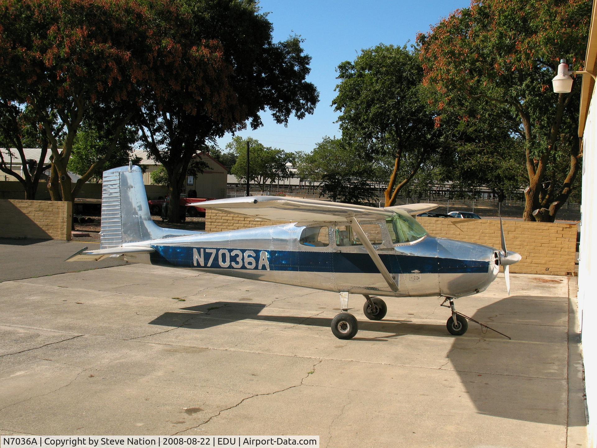 N7036A, 1956 Cessna 172 C/N 29136, 1956 Cessna 172 @ Davis, CA