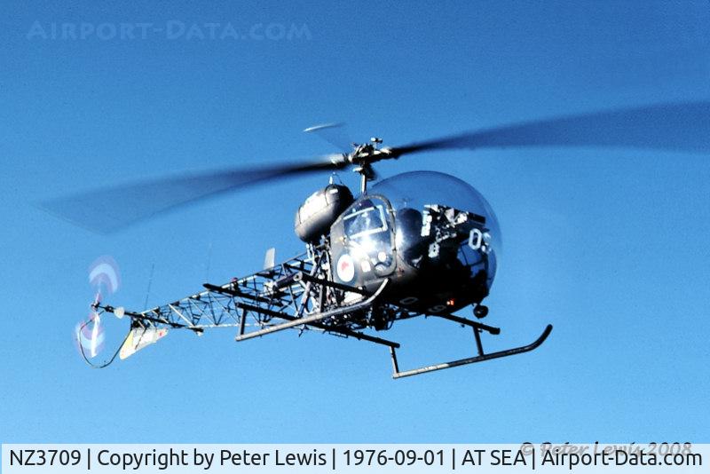 NZ3709, 1970 Bell 47G-3B2 Sioux C/N 6811, RNZAF