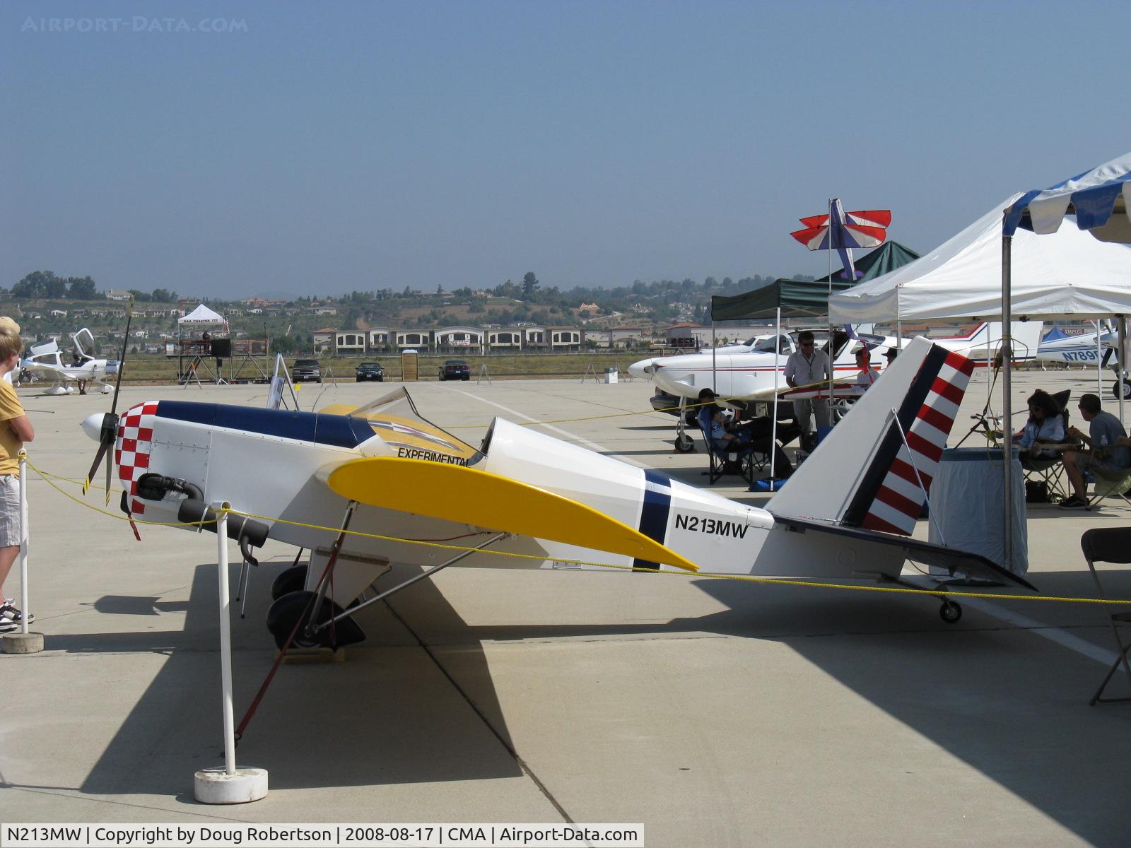N213MW, Team Mini-Max 1030 C/N 001, Lewis MINI MAX 1030, Ser.001