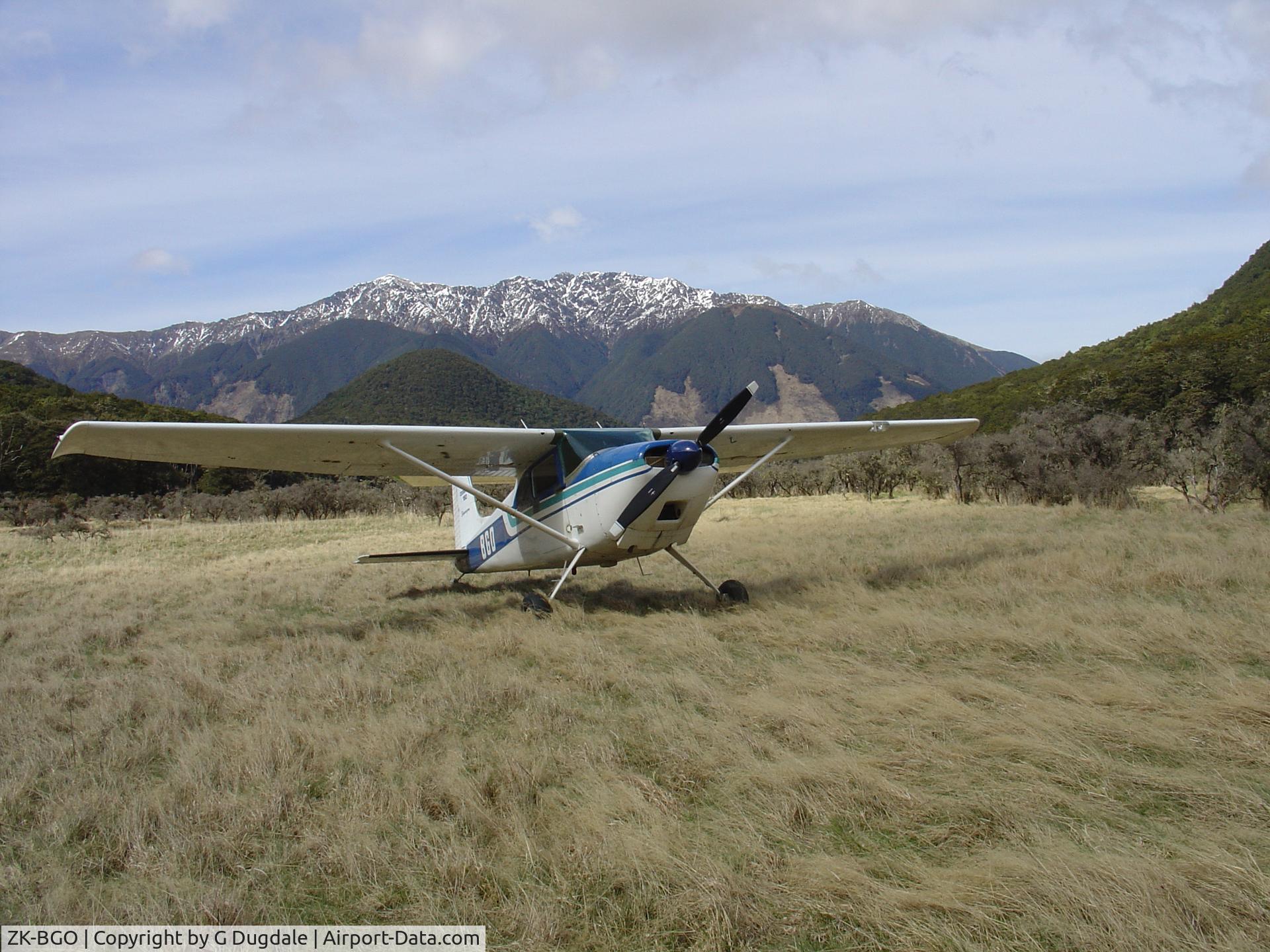 ZK-BGO, Cessna 180 C/N 31183, Cessna 180 South Island NZ