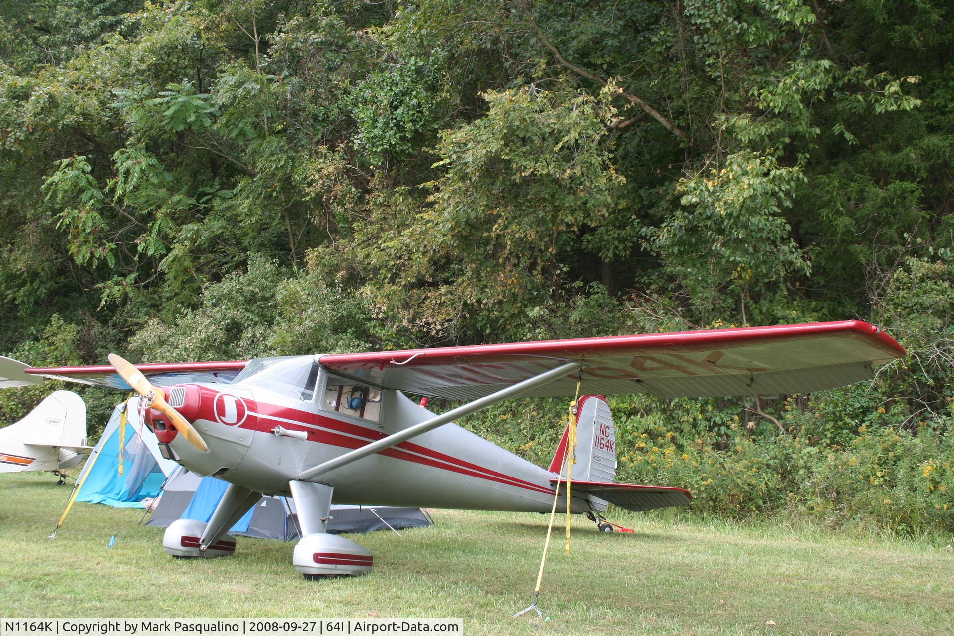 N1164K, 1946 Luscombe 8A C/N 3891, Luscombe 8A