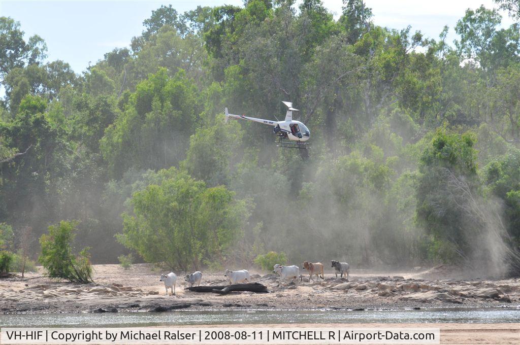 VH-HIF, 1998 Robinson R22 BETA C/N 2831, Cattle Mustering Far North Queensland