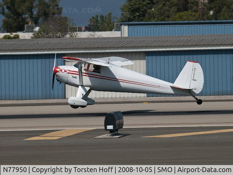 N77950, 1946 Luscombe 8A C/N 3677, N77950 about to touch down on RWY 21