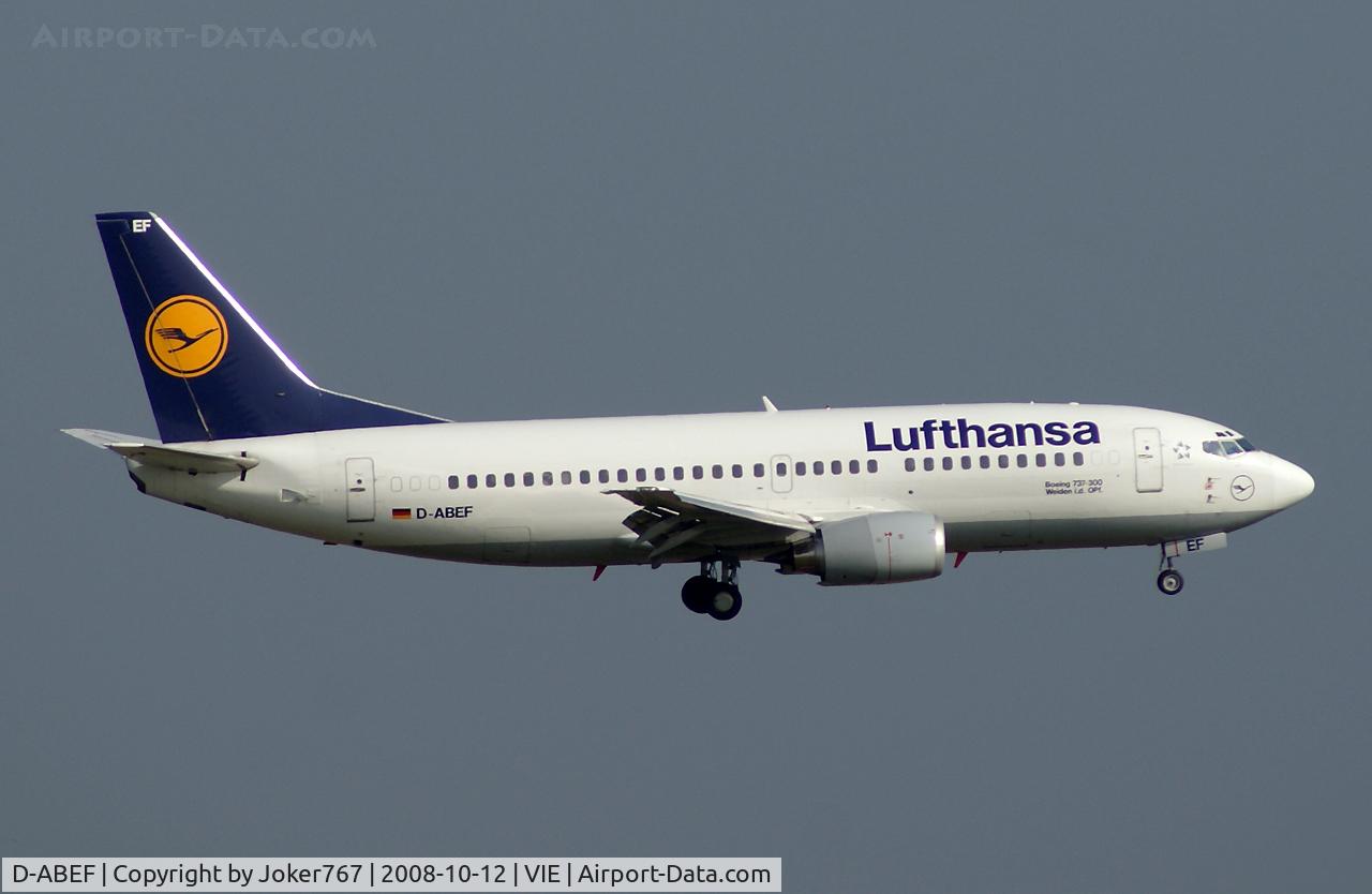 D-ABEF, 1991 Boeing 737-330 C/N 25217, Lufthansa Boeing 737-330