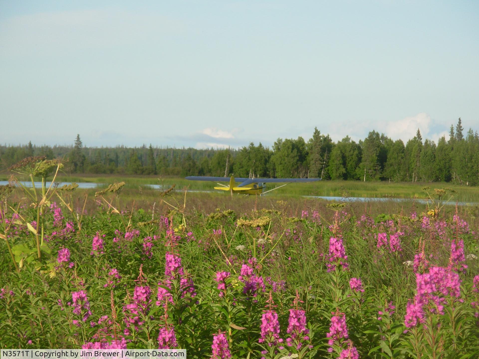 N3571T, 1975 Taylorcraft F-19 Sportsman C/N F-032, July Fireweed