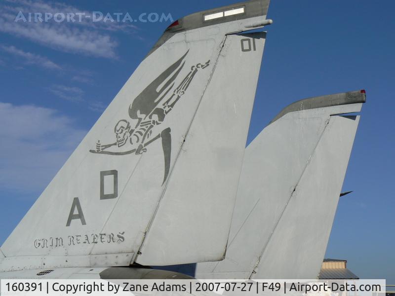 160391, Grumman F-14A Tomcat C/N 247, At the Texas Air Museum - Slaton, TX