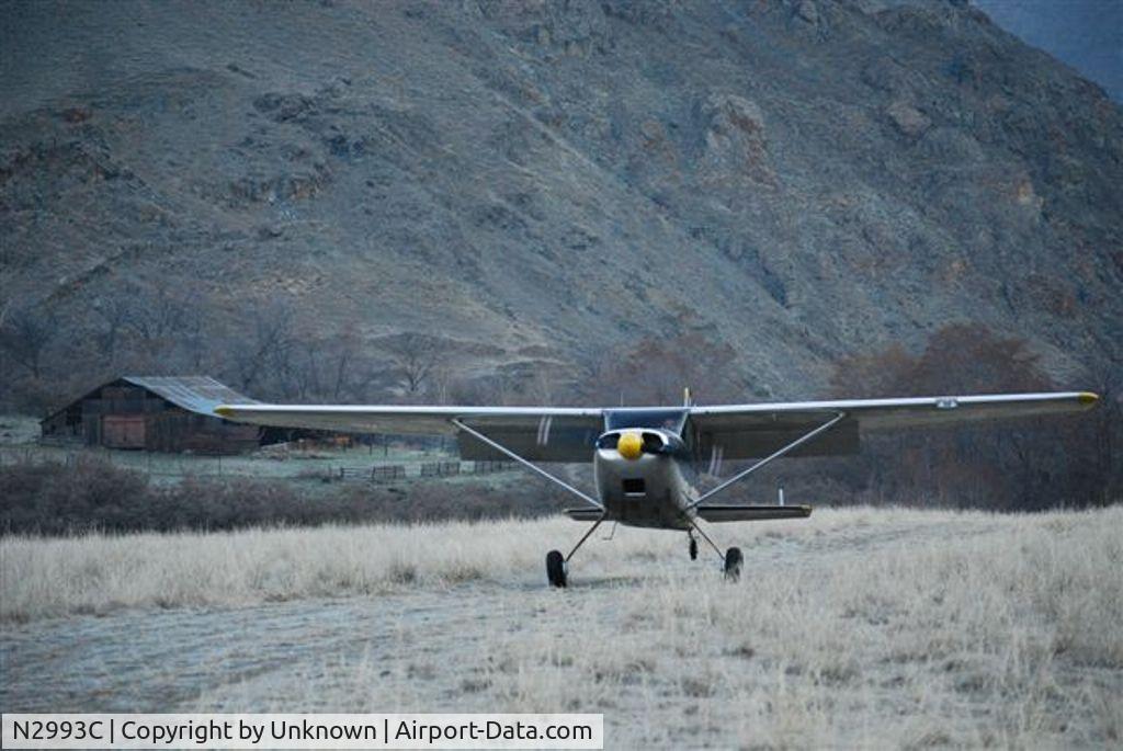 N2993C, 1954 Cessna 180 C/N 30893, 93C @ Big Bar on the lower Snake River